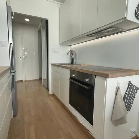 Kolmikulman Kingi, A Renovated Flat With Balcony * Jyväskylä