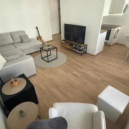 Kolmikulman Kingi, A Renovated Flat With Balcony * Jyväskylä